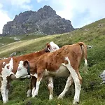 Haus Traudl